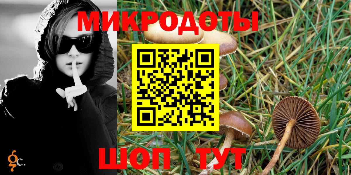 Пенза  где найти   Вход с VPN  Галлюциногенные грибы GOLDEN TEACHER 